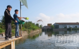 Quan tâm đào tạo nghề, tạo việc làm cho hội viên nông dân