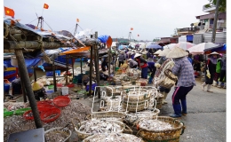 Bến cá Tân Sơn: Nhộn nhịp ngày cuối năm