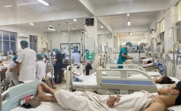Cả nước ghi nhận hơn 172.000 ca mắc sốt xuất huyết