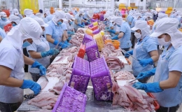 Các tổ chức quốc tế dự báo tăng trưởng kinh tế Việt Nam năm 2024