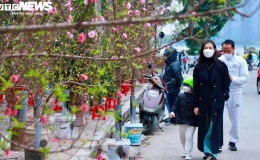Chuyên gia nhận định tình hình mưa rét dịp Tết Nguyên đán Giáp Thìn 2024