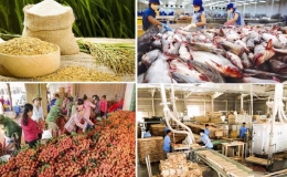 Kết quả sản xuất nông, lâm nghiệp và thủy sản cả nước năm 2023