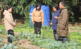 Kiểm tra việc chấp hành pháp luật về chất lượng, an toàn thực phẩm dịp tết Nguyên đán và mùa lễ hội