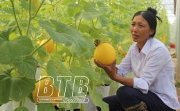 Kiến Xương: Đẩy mạnh ứng dụng khoa học kỹ thuật trong sản xuất nông nghiệp