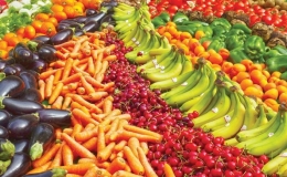 Kim ngạch xuất khẩu các sản phẩm trồng trọt hướng đến mục tiêu 26 tỷ USD