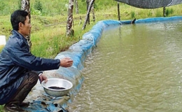 Một số biện pháp tăng cường phòng, chống rét trong nuôi trồng thủy sản