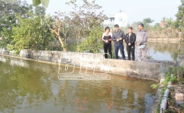 Nghị quyết số 11/NQ-CP: Hỗ trợ phục hồi, phát triển kinh tế sau đại dịch