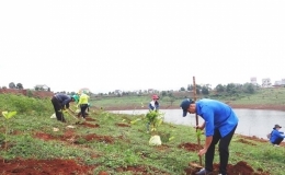 Phát động “Tết trồng cây” thiết thực, hiệu quả, không phô trương hình thức