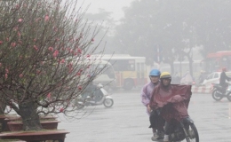 Phòng chống rét hại trước khi rét hại xảy ra