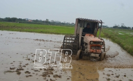 Quỳnh Phụ: Chuẩn bị cho sản xuất vụ xuân