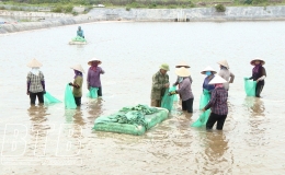Tiền Hải: Quỹ hỗ trợ nông dân thúc đẩy nuôi trồng thủy sản