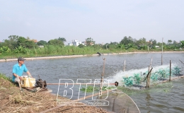 Tiếp sức để nông dân vươn lên làm giàu