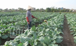 Vận hành 23 trạm bơm điện lấy nước đổ ải