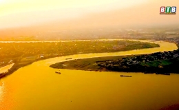 Làng hoa Bách Thuận rực rỡ sắc xuân