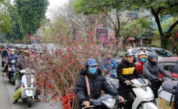 Tăng cường bảo đảm trật tự, an toàn giao thông dịp Tết Nguyên đán Ất Tỵ và Lễ hội xuân 2025