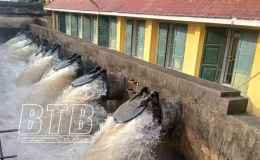 Thái Bình: Trên 30% tổng diện tích gieo cấy vụ xuân đã có nước