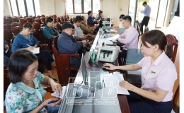 Thái Thụy: Tổng dư nợ các chương trình tín dụng tăng 10,5%