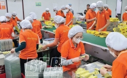 Thu ngân sách - một năm khởi sắc