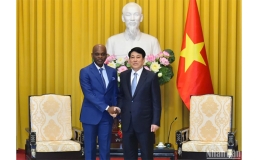 Triển khai các biện pháp làm sâu sắc hơn nữa quan hệ Việt Nam-Togo