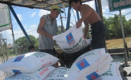 Gian nan xuất khẩu phân bón
