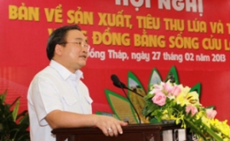 Tạo thuận lợi tối đa cho mua tạm trữ lúa gạo