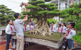 Giáo dục tiểu học: Linh hoạt, sáng tạo đáp ứng yêu cầu đổi mới