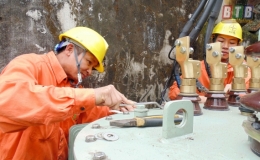 Điện lực thành phố cấp điện an toàn, ổn định phục vụ tết