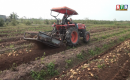 Hai nông dân ở xã Tân Phong sáng chế thành công máy thu hoạch khoai tây