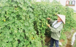 Phát huy sức mạnh đoàn kết, xây dựng Quỳnh Minh ngày càng giàu mạnh