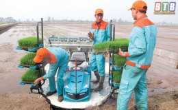 Hiệu quả từ máy cấy