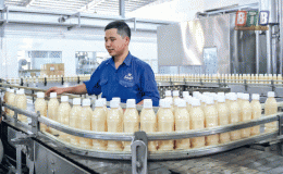 Công ty Cổ phần Tập đoàn Hương Sen - Đổi mới để phát triển
