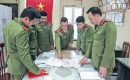 Những chuyên án xuyên tết