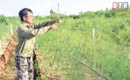 Thi gan làm giàu