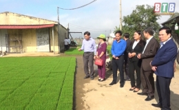 Lãnh đạo huyện Kiến Xương kiểm tra sản xuất nông nghiệp ngày mùng 4 tết