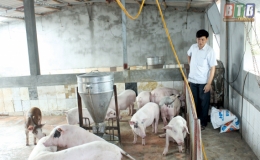 Tiền Hải: Đề cao công tác tiêu độc, khử trùng trong phòng, chống dịch bệnh trên đàn vật nuôi