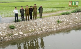 Phòng, chống bệnh dịch tả lợn châu Phi: Nỗ lực từ các cơ quan chức năng là chưa đủ