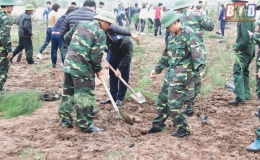 Chi cục Thuế huyện Vũ Thư: Khai thác triệt để nguồn thu