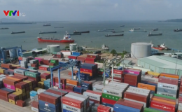 Tổng trị giá xuất nhập khẩu của cả nước trong tháng 1 đạt 36,62 tỷ USD