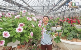 Ứng dụng công nghệ tưới tiên tiến trong sản xuất nông nghiệp