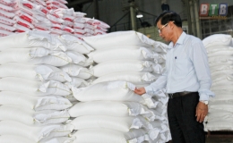 Tiếp đà xuất khẩu gạo