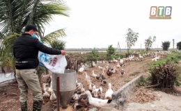 Nông sản gặp khó do Covid-19