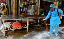 Thành phố phòng chống dịch cúm A (H5N1) trên gia cầm và ở người