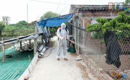 Chủ động ứng phó với dịch cúm gia cầm