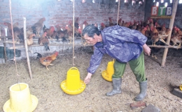 Làm giàu từ chăn nuôi tổng hợp