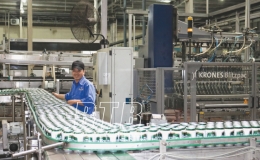 Công ty Cổ phần Tập đoàn Hương Sen: Chủ động vượt khó