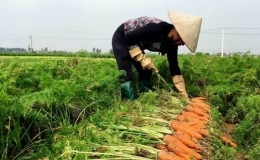 Hải Dương đề nghị các tỉnh, thành phố tạo điều kiện lưu thông hàng hóa