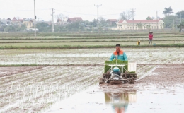 Mở rộng diện tích cấy máy