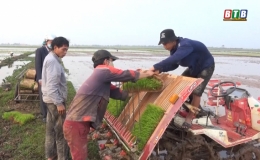 Nam Hải - Ứng dụng máy cấy trong sản xuất nông nghiệp