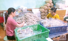 OCOP: Khẳng định thương hiệu Thái Bình