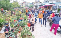 Phiên chợ ngày tết